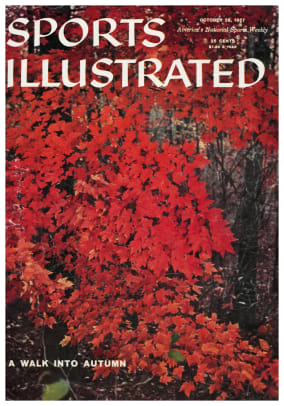 42777 - Cover Image